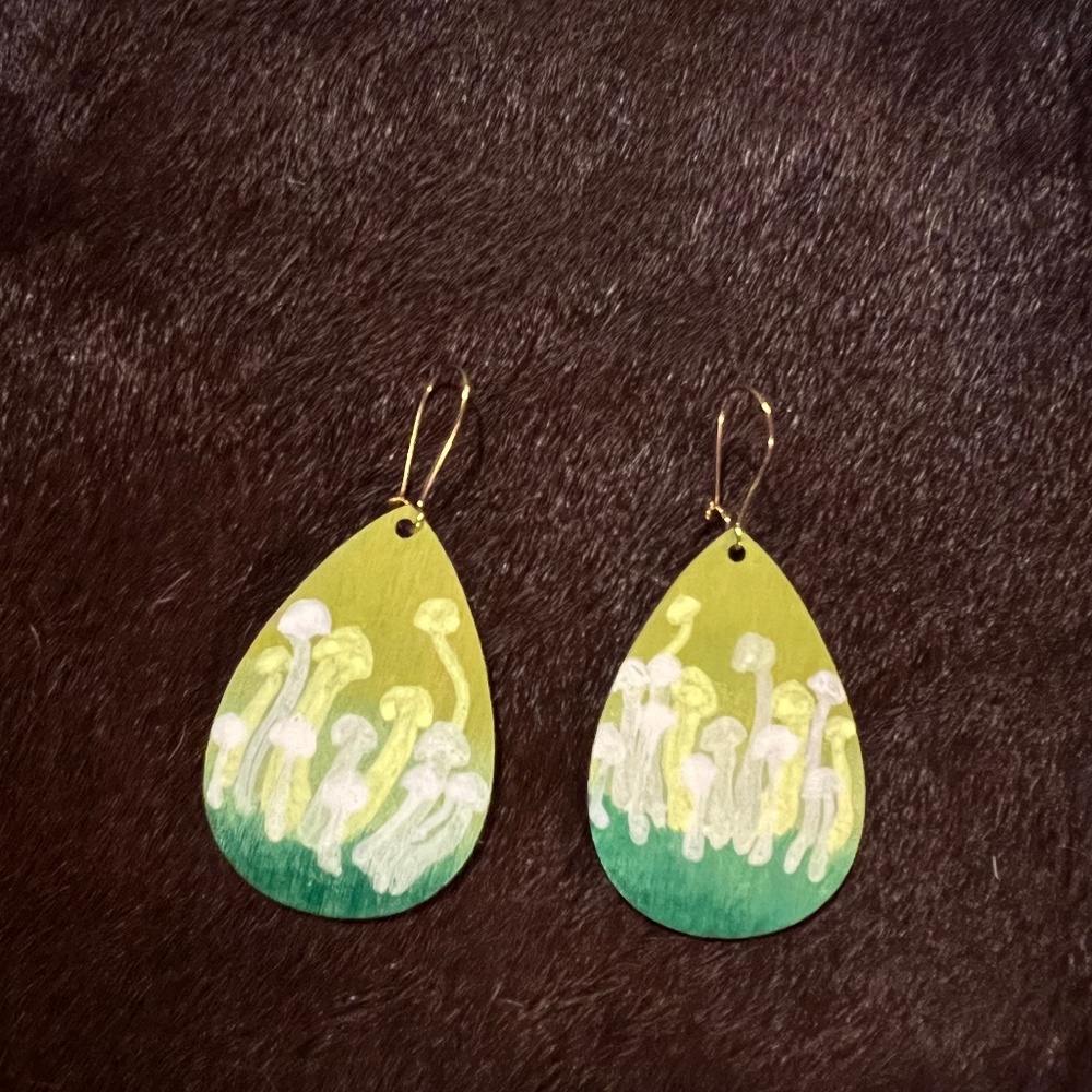 Hand painted earrings - Picture 1 of 1